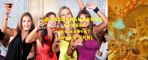 МДПВ Всеволожск