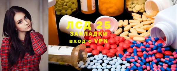 ПСИЛОЦИБИНОВЫЕ ГРИБЫ Гвардейск